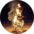 Chris Miller profile picture